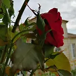 Casa de hóspedes Domaine Du Chauvet