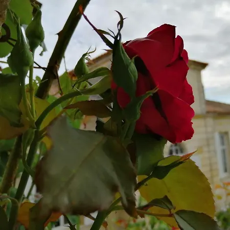 Гостевой дом Domaine Du Chauvet
